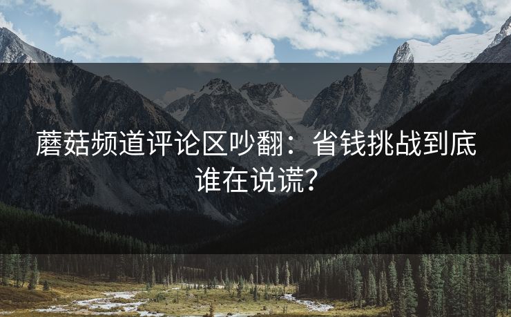 蘑菇频道评论区吵翻：省钱挑战到底谁在说谎？